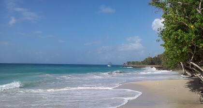 Studio coquet à Sainte-Luce bordé de ses belles plages