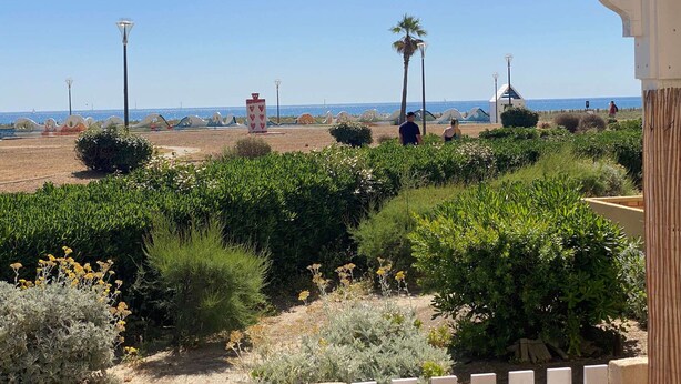 A landscaped garden with a pathway leading to a beach, palm trees, and a clear view of the sea. - Seaside studio for 3 pers with parking (Port Leucate)