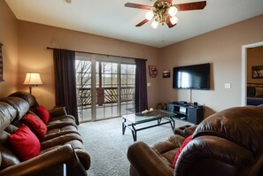 Télévision, cheminée, lecteur de DVD