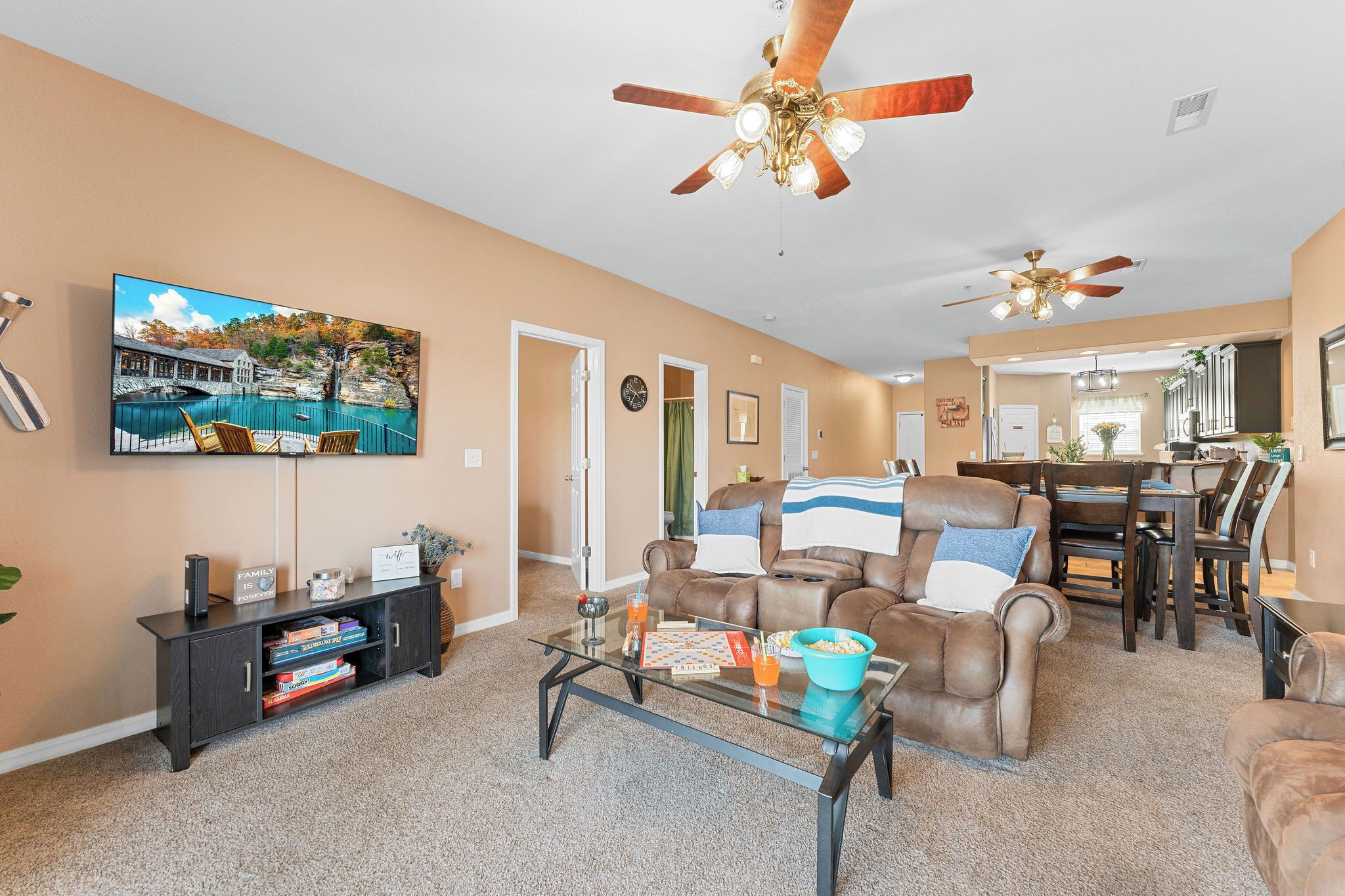 TV, fireplace, DVD player