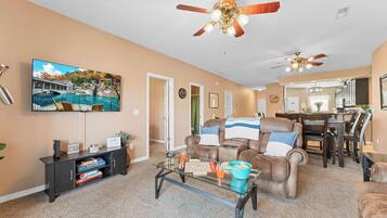 TV, fireplace, DVD player