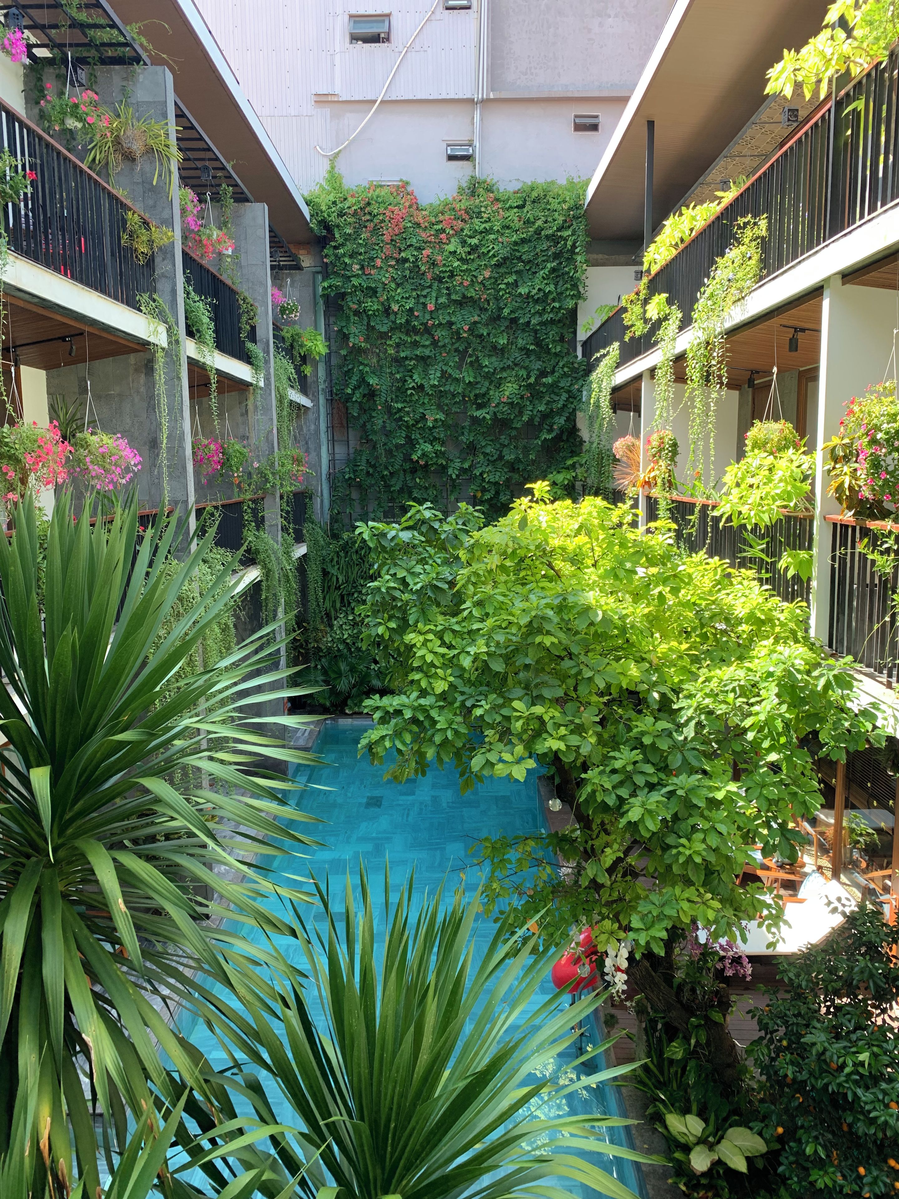 Un patio con piscina central rodeado de abundante vegetación y plantas colgantes.