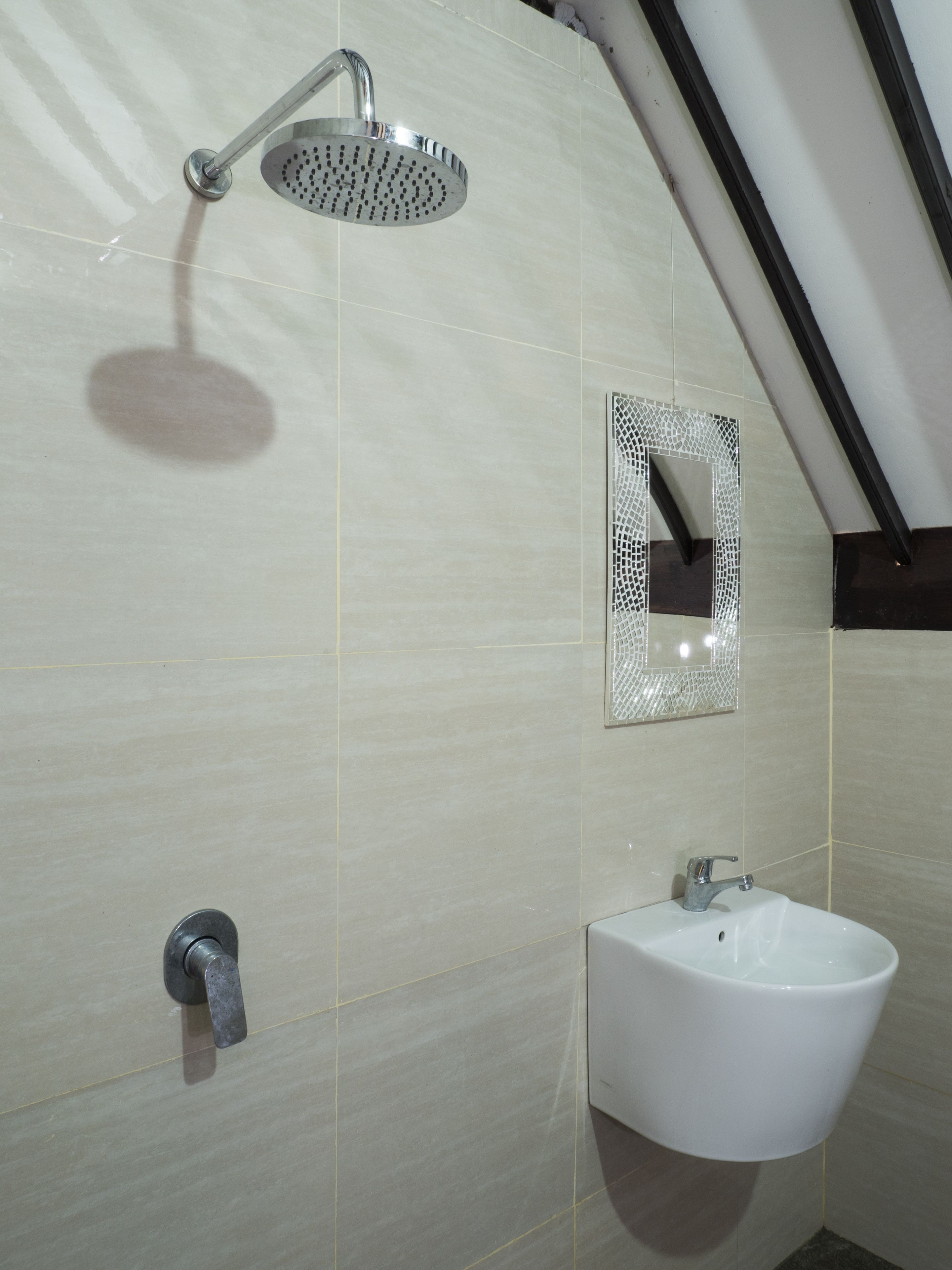 A bathroom with a shower, sink, and a decorative mirror.