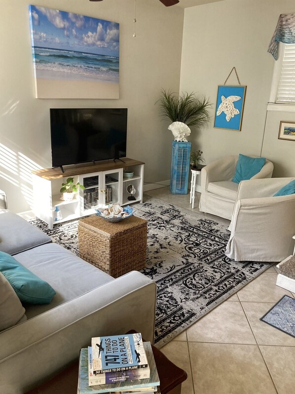 Smart TV, DVD player, books, video library