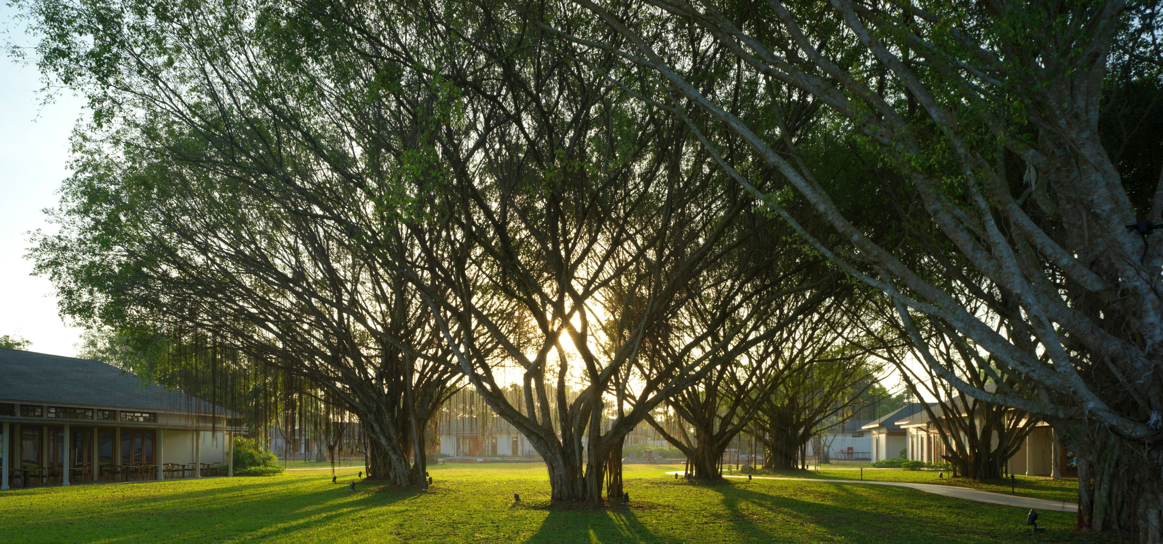 azerai resident retreat (60-minute body treatment for 2 persons) (domestic only) | premium bedding, minibar, in-room safe, desk