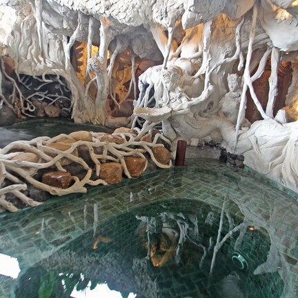 A cave-like interior with a glass-bottomed pool surrounded by rock formations and branches.