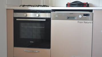 Full-size fridge, oven, stovetop, electric kettle