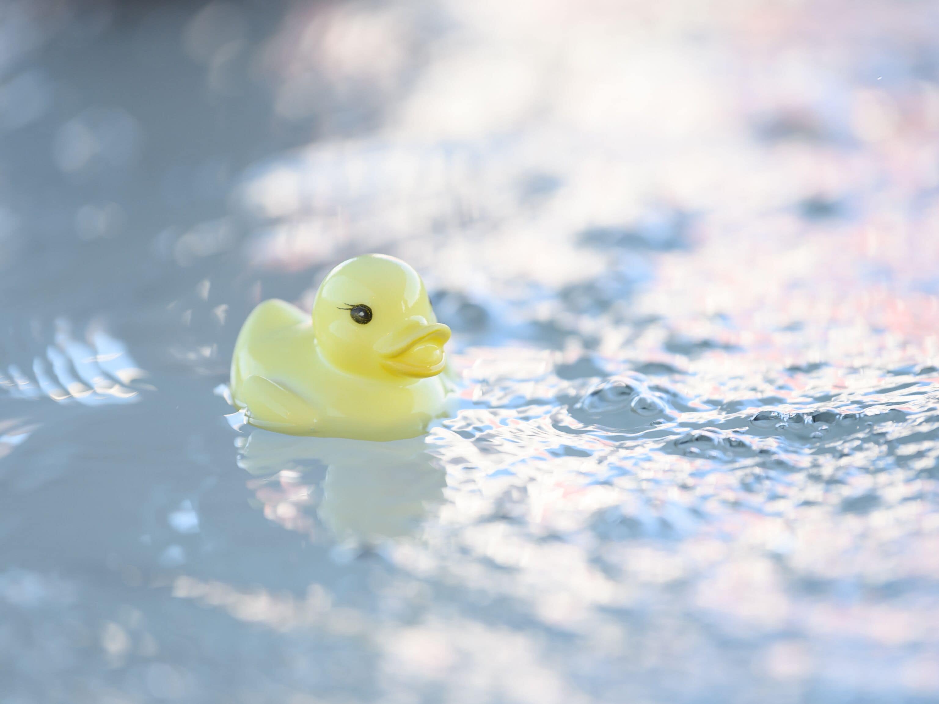 A yellow rubber duck floating on water.