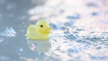 A yellow rubber duck floating on water.
