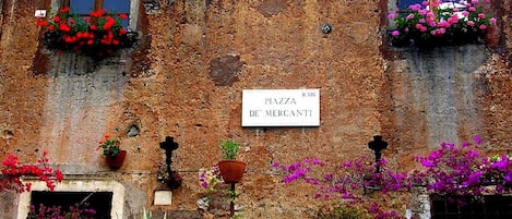Detalle exterior