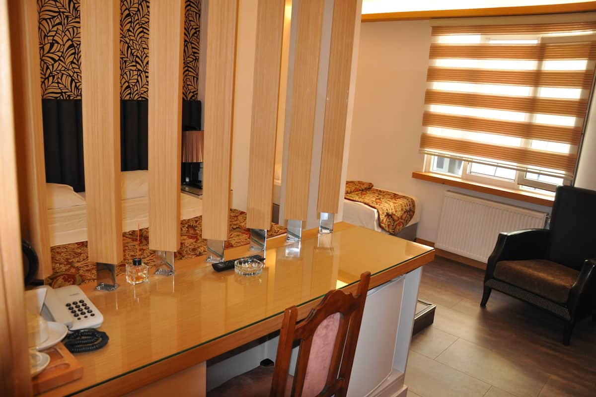 Minibar, iron/ironing board (on request), WiFi (free)