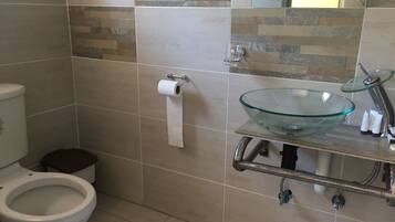 Un baño con inodoro, lavamanos de vidrio y un rollo de papel higiénico en la pared.