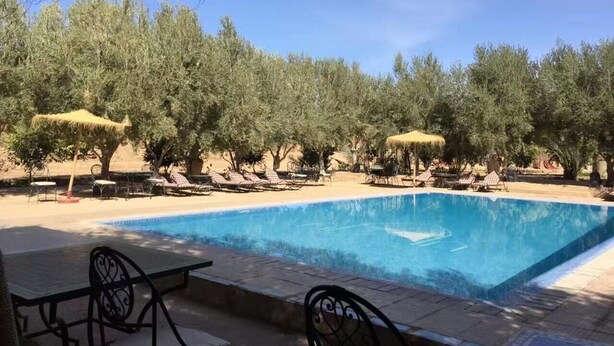 A swimming pool with lounge chairs and umbrellas, surrounded by trees. - Galaxy Desert Camp Merzouga (Taouz)