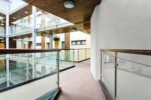 Exterior - 19 Winter Gardens (Belfast)