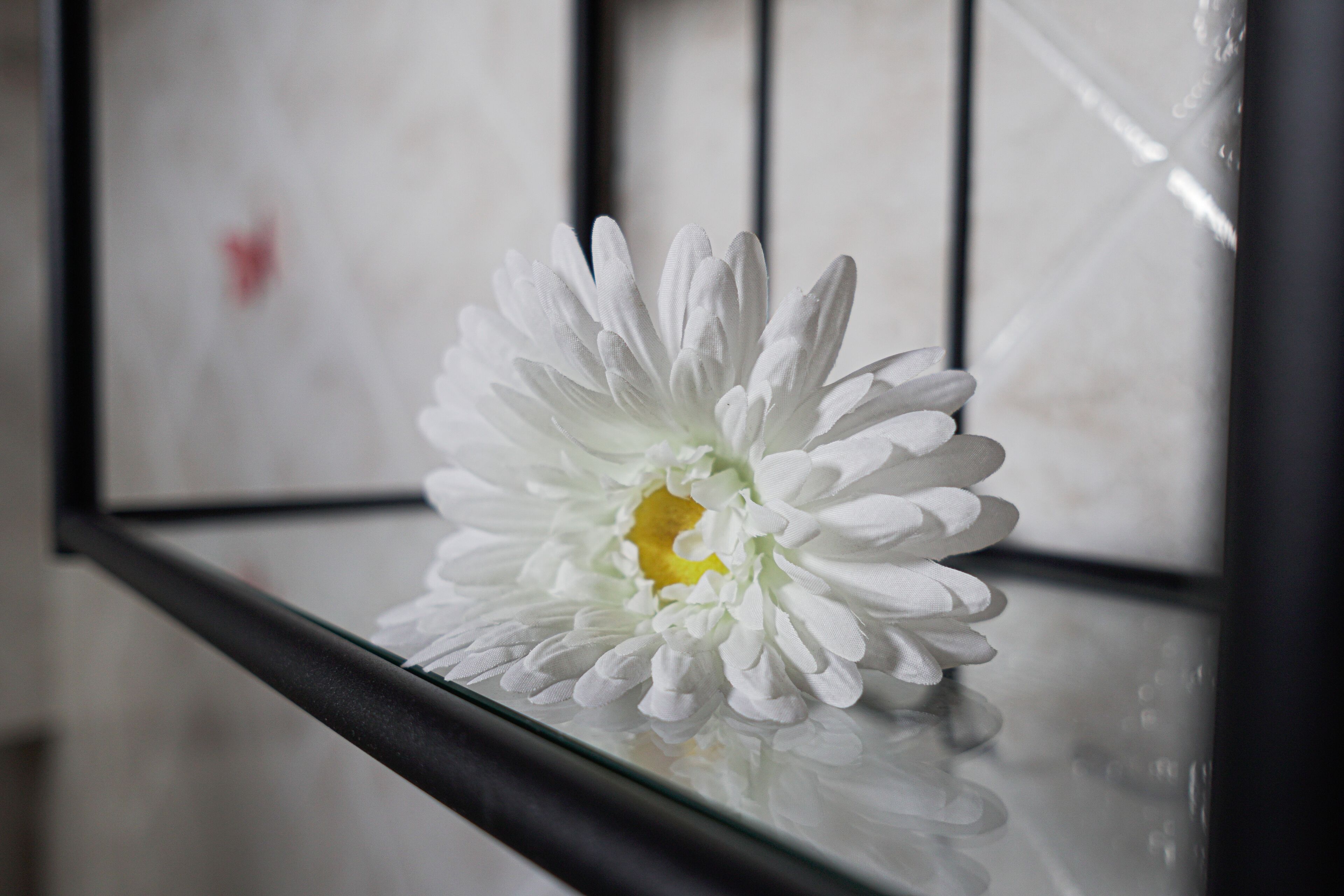 Photo - B&B Le Undici Lune