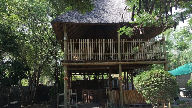 A two-story wooden structure with a thatched roof, surrounded by trees and a brick fire pit. - Laphroiag Luxury Chalets (Maun)