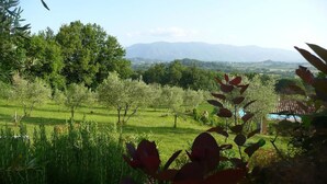 A lush garden with various plants and trees, a clear sky, and distant mountains. - Il Bruco B&B (San Donato Val Di Comino)