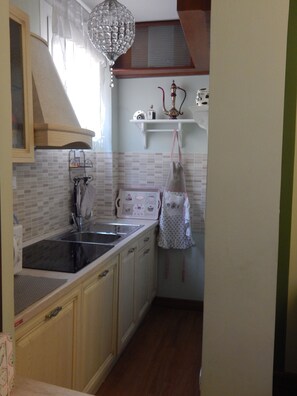 Réfrigérateur, micro-ondes, plaque de cuisson, lave-vaisselle