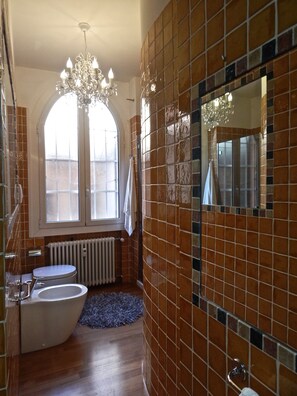Shower, hair dryer, bidet, towels