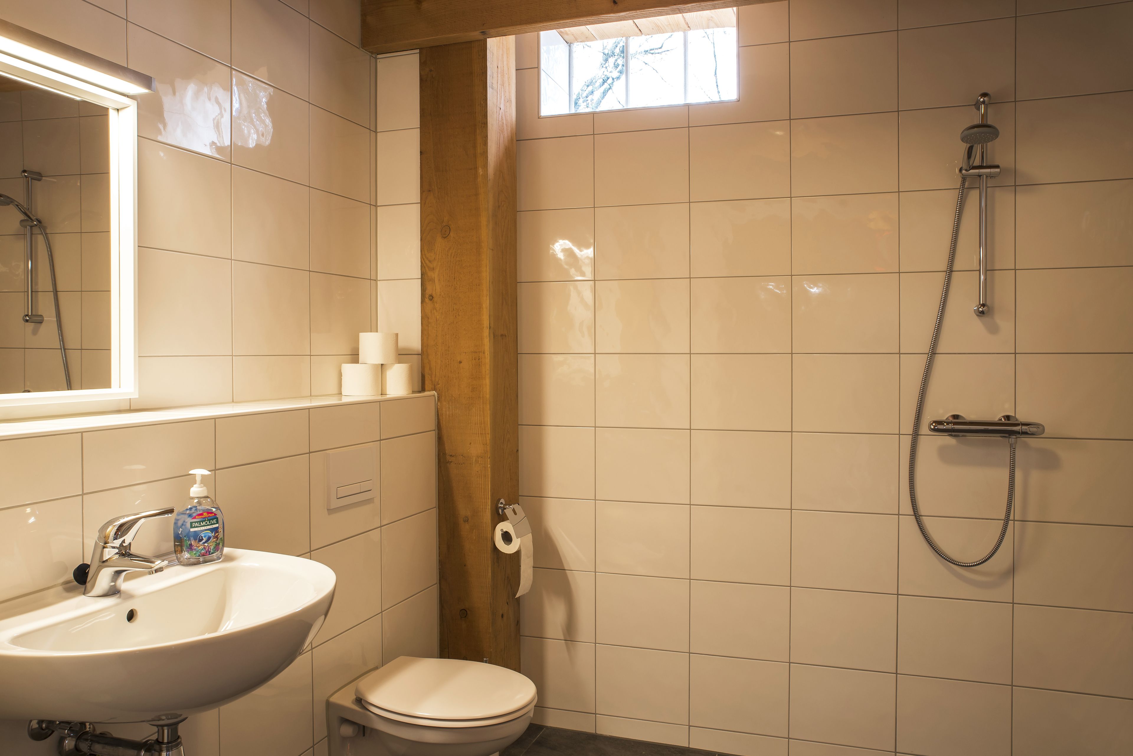 A bathroom with a sink, toilet, and shower.