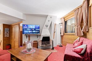 Een televisie, een open haard, een dvd-speler en boeken