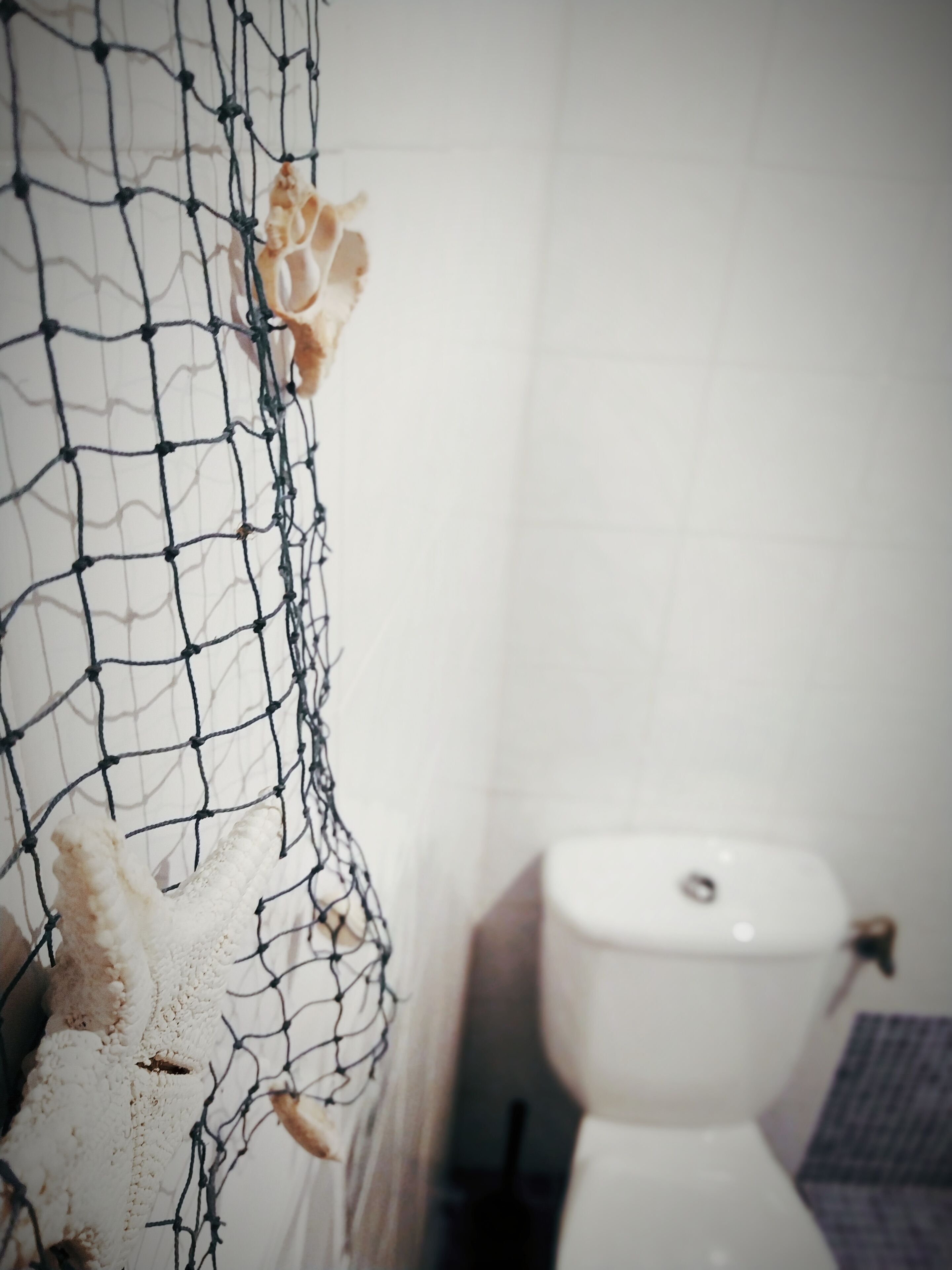 Et badeværelse med et hvidt toilet, en sikkerhedsnet-afskærmning og en flisebeklædt væg.