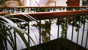 A staircase with a wooden handrail, surrounded by green plants. - Casa Nautilus Cadiz (Cádiz)