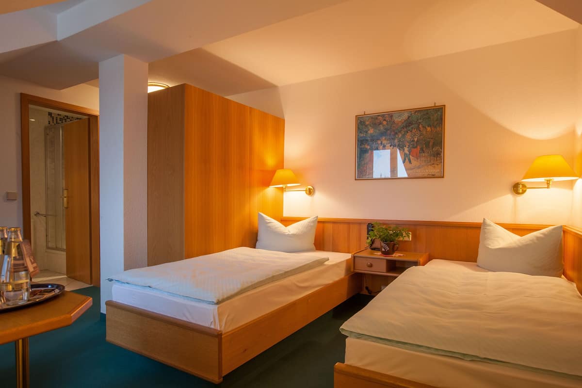 economy double room | in-room safe, desk, soundproofing, cots/infant beds