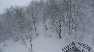 Udsigt fra værelset