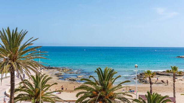 A beach with clear blue water, palm trees, and a rocky shoreline. - Apartment Arenal 4 - PlusHolidays (Calpe)