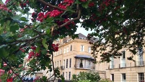 Straßenansicht eines Gebäudes mit geschwungener Fassade, einem schwarzen Metallzaun und einem Baum mit roten Blüten.