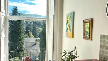 Superior Apartment, 1 Bedroom, Hill View | Private kitchen | Fridge, microwave, oven, stovetop