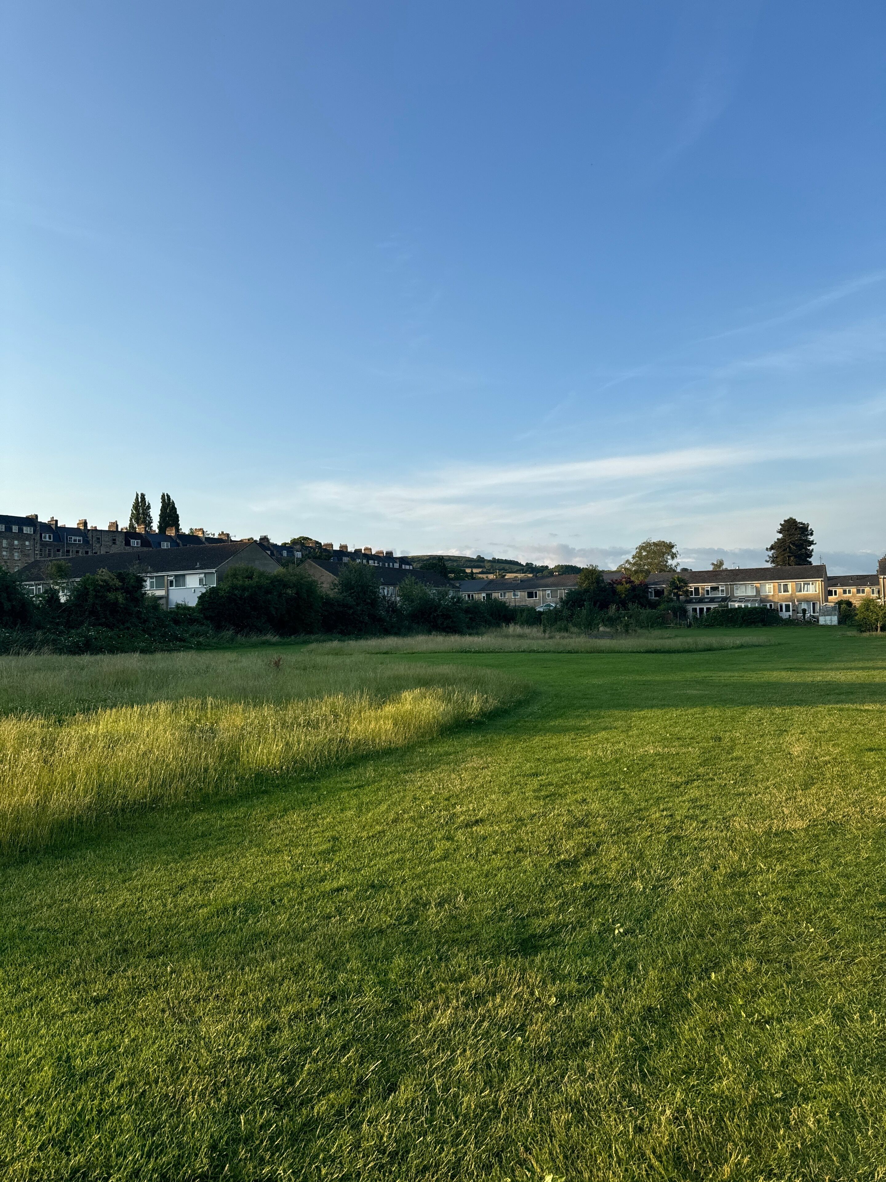 A grassy field with buildings in the background.