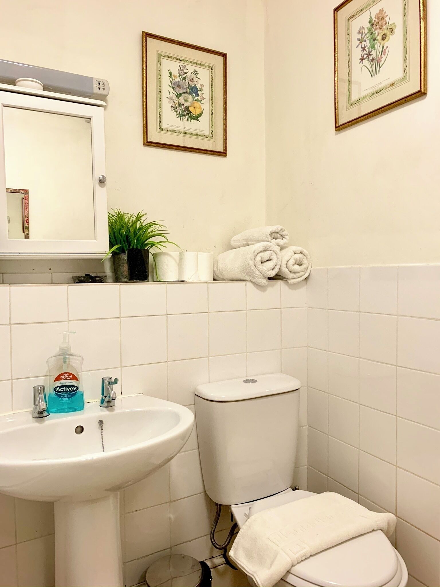 A bathroom with a sink, toilet, and framed floral artwork on the wall.