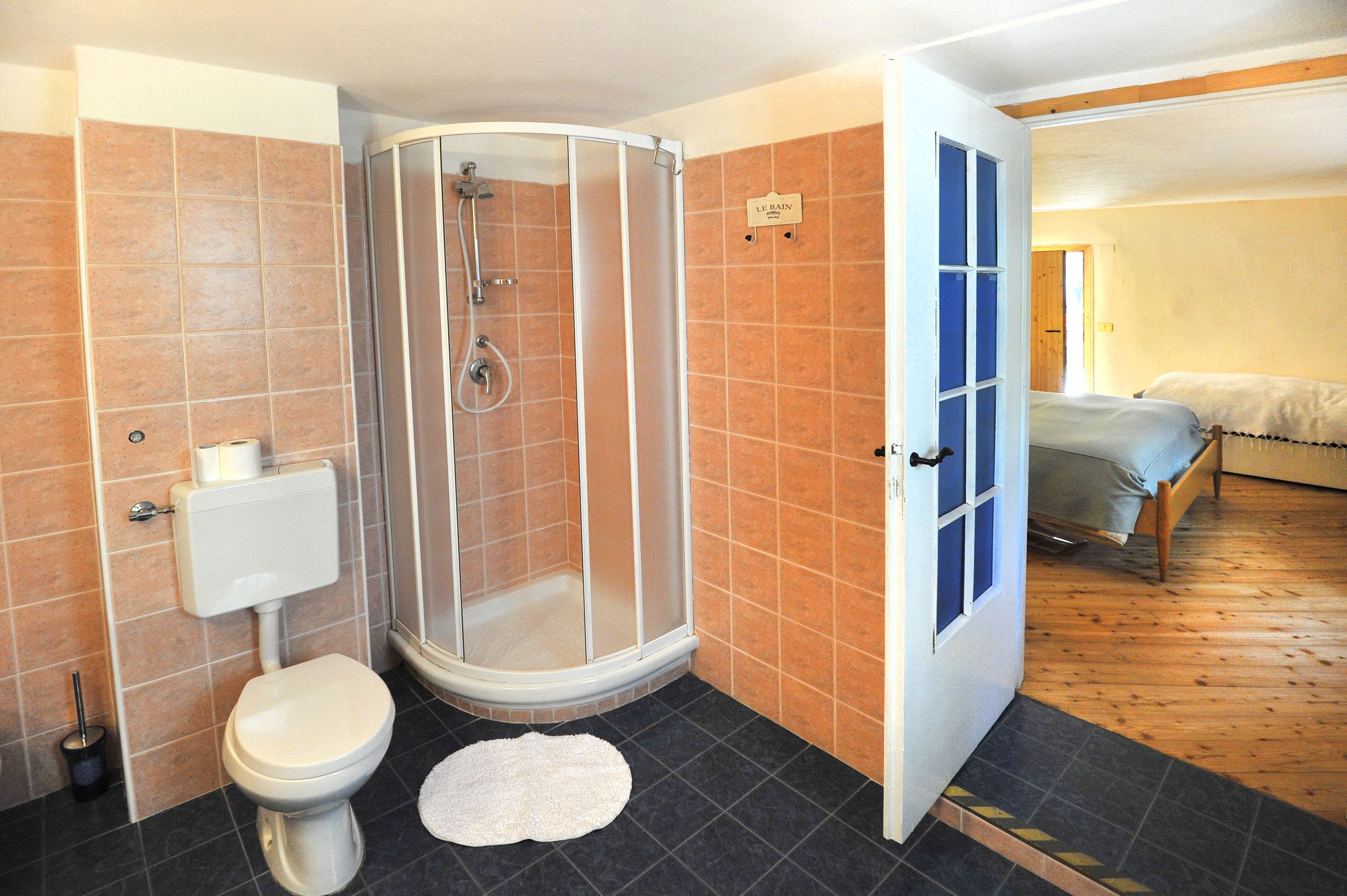 Une salle de bain avec douche et toilettes, et une chambre adjacente avec un lit.
