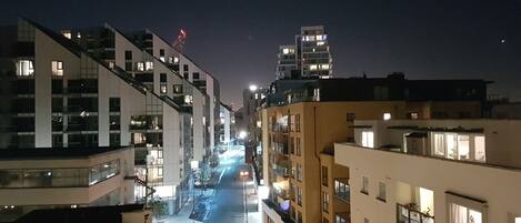 Vista desde la propiedad