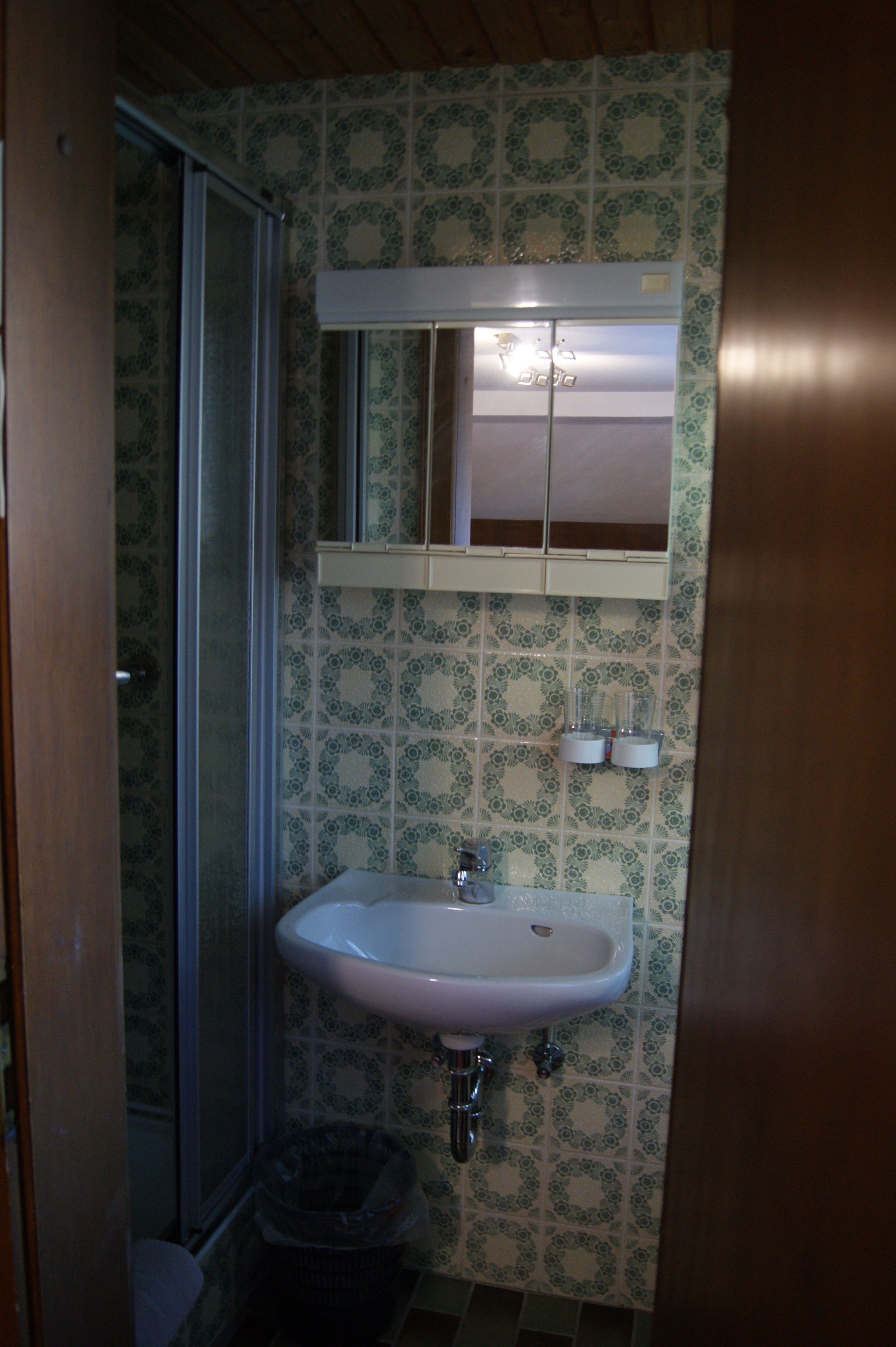 A bathroom with a sink, mirror, and shower.
