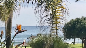 A tropical garden with palm trees and a view of the ocean. - MI CAPRICHO 16 BEACHFRONT APARTMENT (Mijas)