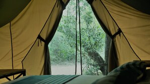 Una tenda amb un llit a l'interior, envoltada de vegetació.
