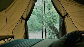 Tent, toegankelijk voor mindervaliden, uitzicht op tuin | Een kluis op de kamer, een bureau, gratis wifi