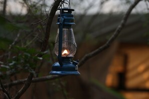 Tent, toegankelijk voor mindervaliden, uitzicht op tuin | Uitzicht op de tuin