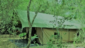 Una tenda amb un sostre verd en una zona boscosa.
