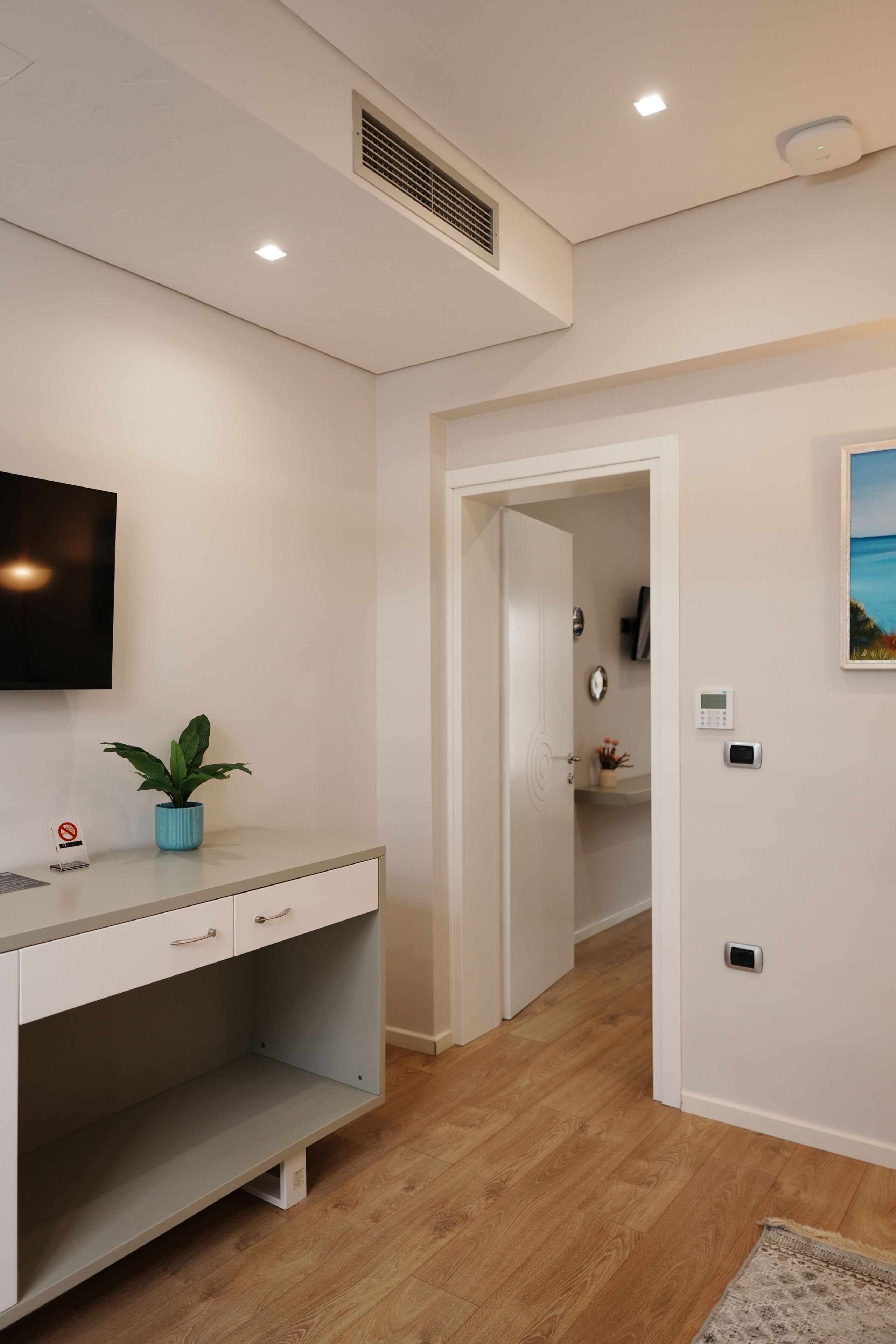 Ein Flur mit Fernseher, Zimmerpflanze, einer Tür zu einem anderen Raum, einem Wandthermostat und einem Gemälde.