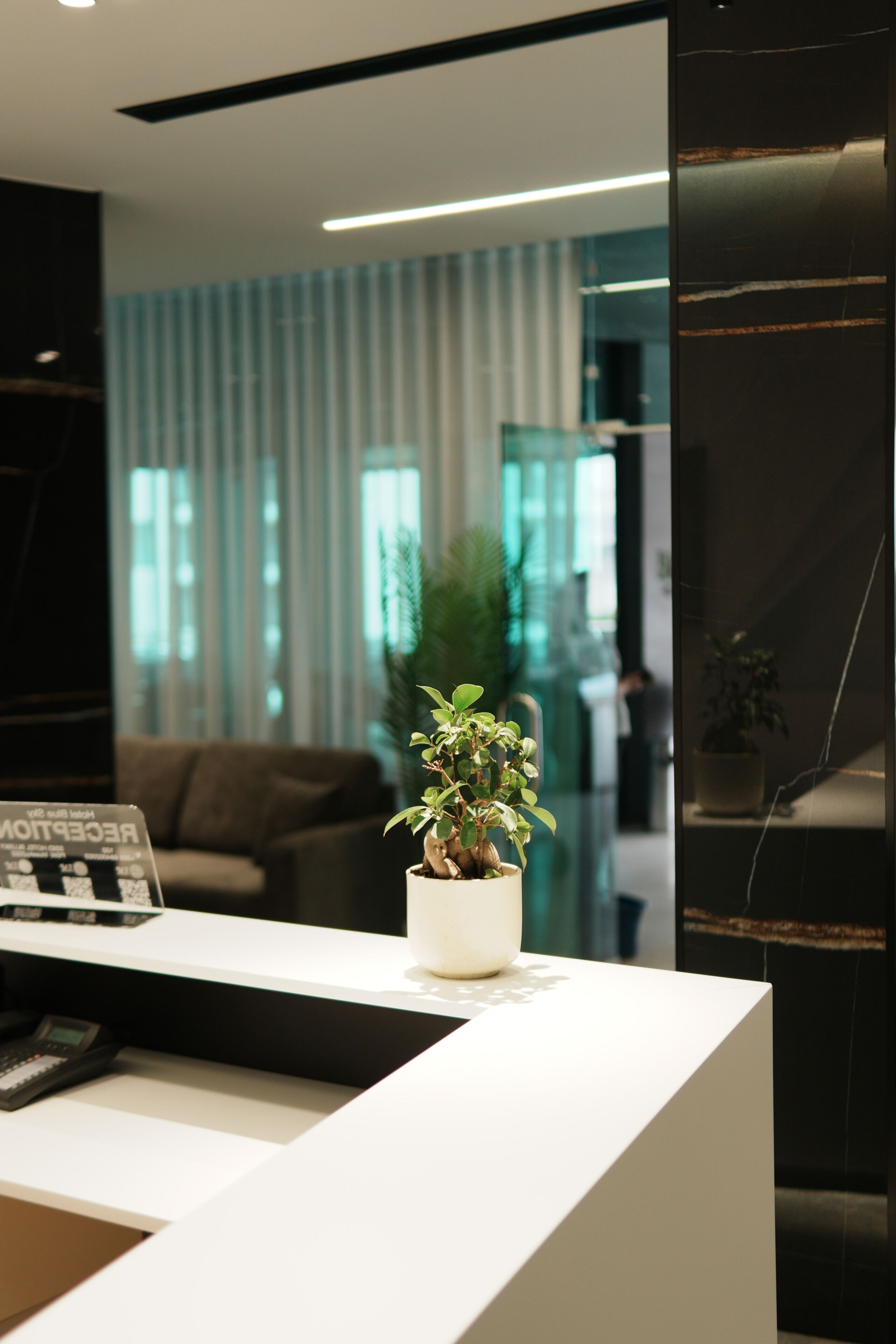 A reception desk with a potted plant, a couch, and a modern interior with vertical blinds.
