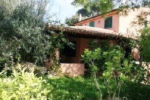 A rustic building with a sloped roof, surrounded by dense greenery and trees.