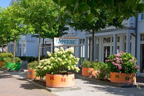 Luokittelematon kuva, 2 kautta 45, painike