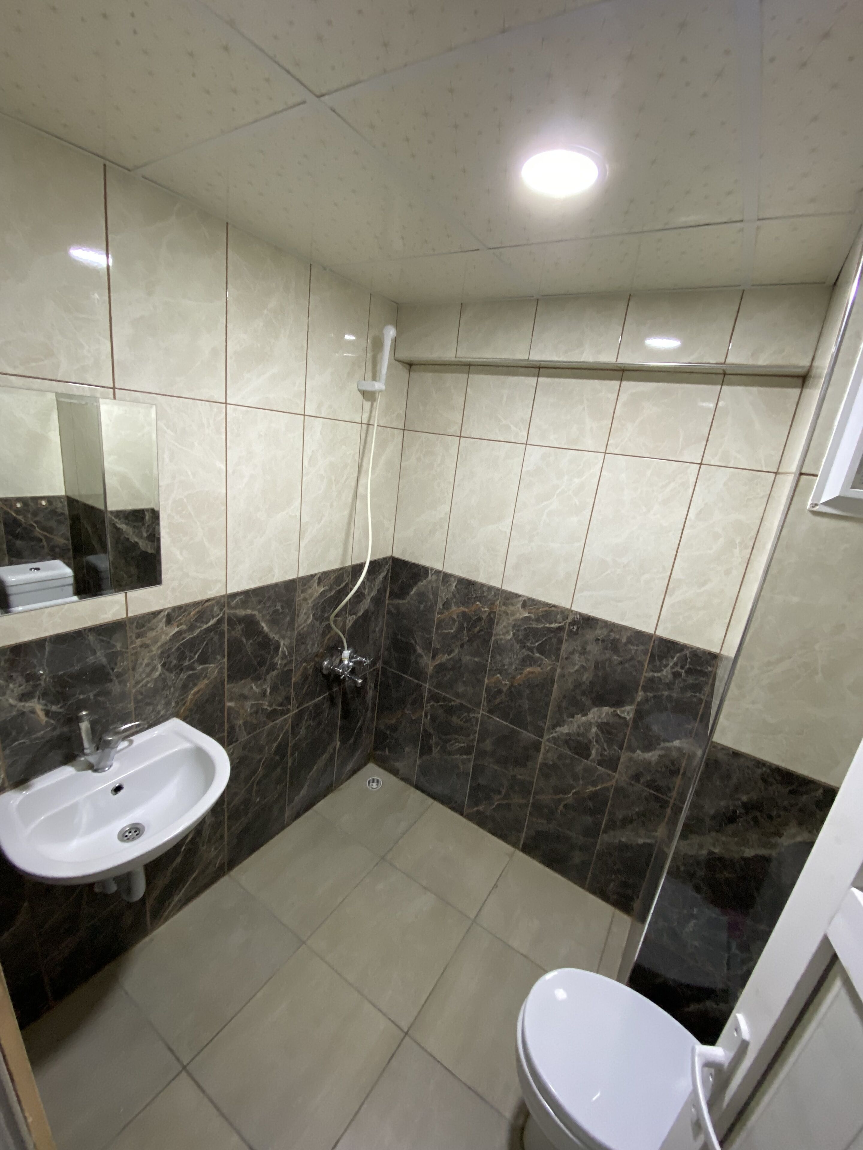 Un baño con lavamanos, espejo, ducha e inodoro.