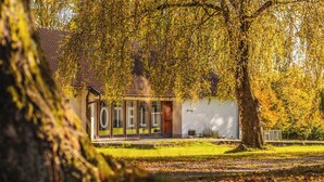 A building with a sign that reads 'TOILETTE' and a tree in the foreground. - Hensbacka Hotell (Munkedal)