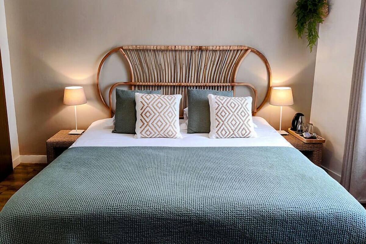 A hotel room with a bed, two bedside lamps, a hanging plant, and a textured bedspread.