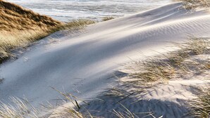 Une plage de sable avec des dunes et de l’herbe.